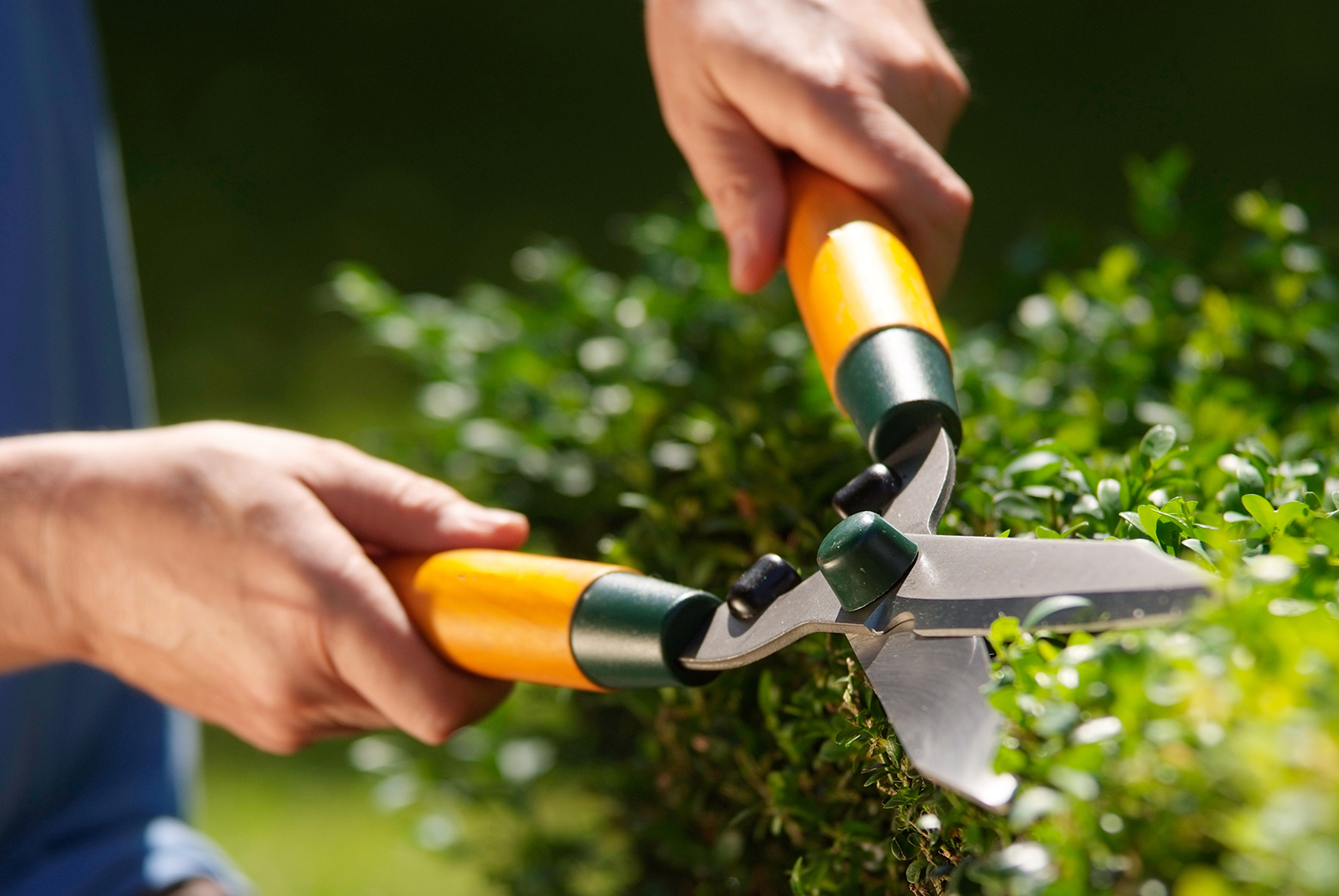 6 Garden Maintenance Tips You Can’t Ignore